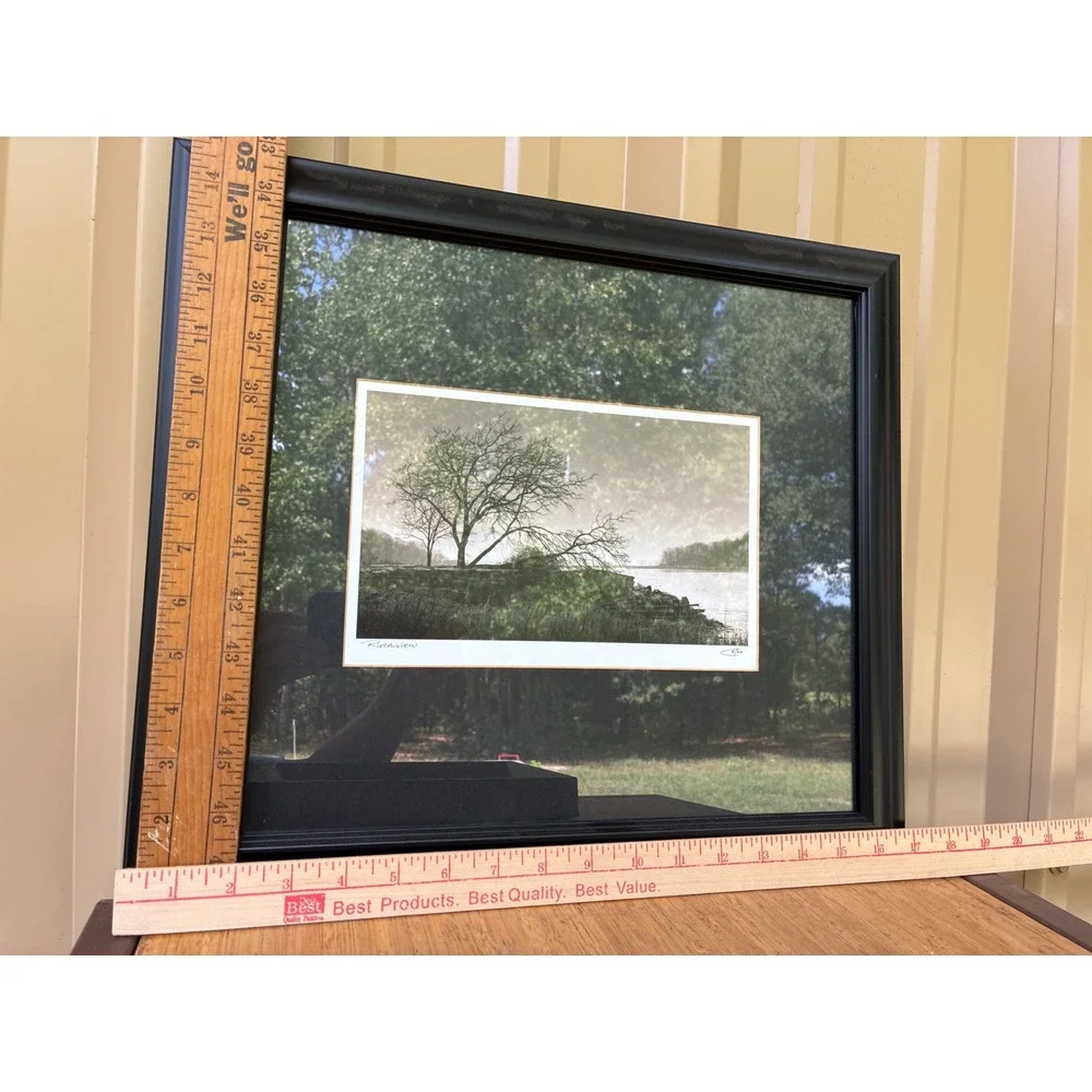 Set of 3 Framed Landscape Tree Photos Awakening Riverview Misty Fog Wall Art